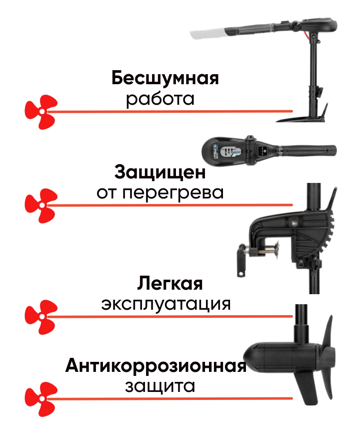 Haswing Protruar Genius 55