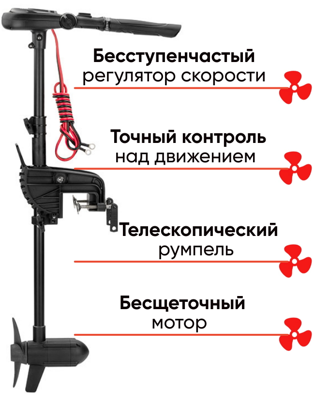 Haswing Protruar Genius 55