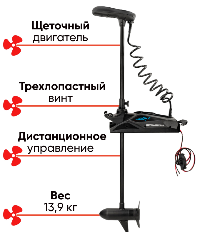 Haswing Cayman B 55 GPS 