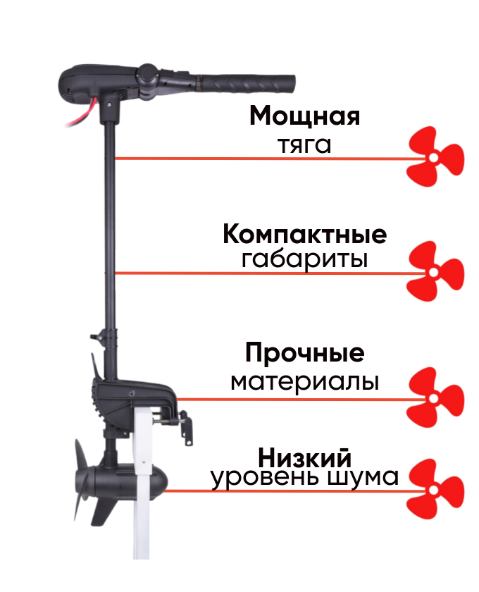 Haswing Protruar 1.0 65 