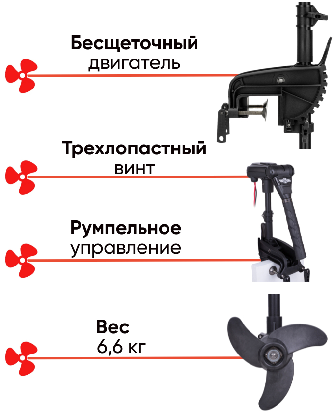 Haswing Protruar 1.0 65