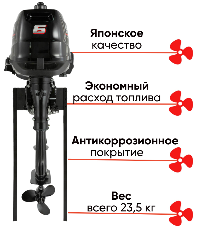 Suzuki DF 6 AS